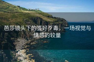 芭莎鏡頭下的簽好歹毒，一場(chǎng)視覺(jué)與情感的較量