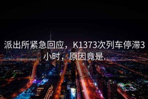 派出所緊急回應，K1373次列車(chē)停滯3小時(shí)，原因竟是.