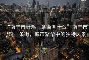 “南寧市野雞一條街叫什么”南寧市野雞一條街，城市繁華中的獨特風(fēng)景