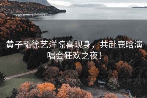 黃子韜徐藝洋驚喜現身，共赴鹿晗演唱會(huì )狂歡之夜！