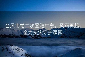 臺風(fēng)韋帕二次登陸廣東，風(fēng)雨再起，全力抗災守護家園