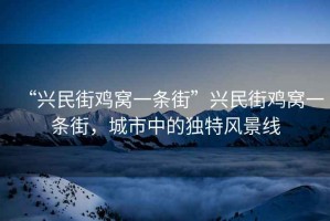“興民街雞窩一條街”興民街雞窩一條街，城市中的獨特風(fēng)景線(xiàn)