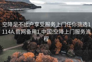 空降足不出戶(hù)享受服務(wù)上門(mén)任你挑選1114A.官網(wǎng)備用1.中國:空降上門(mén)服務(wù)流程