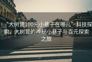 “大樹(shù)營(yíng)100元小巷子在哪兒”科技探索，大樹(shù)營(yíng)的神秘小巷子與百元探索之旅