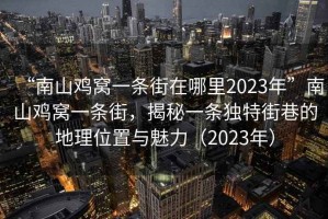 “南山雞窩一條街在哪里2023年”南山雞窩一條街，揭秘一條獨特街巷的地理位置與魅力（2023年）