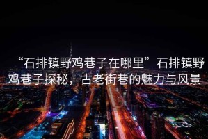 “石排鎮野雞巷子在哪里”石排鎮野雞巷子探秘，古老街巷的魅力與風(fēng)景