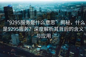 “9295服務(wù)是什么意思”揭秘，什么是9295服務(wù)？深度解析其背后的含義與應用