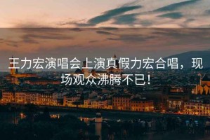 王力宏演唱會(huì )上演真假力宏合唱，現場(chǎng)觀(guān)眾沸騰不已！
