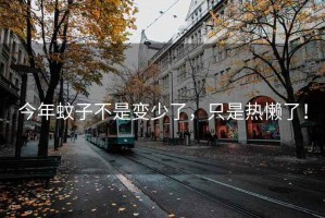 今年蚊子不是變少了，只是熱懶了！