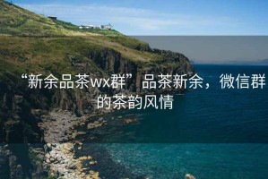 “新余品茶wx群”品茶新余，微信群的茶韻風(fēng)情