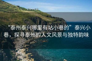 “泰州泰興哪里有站小巷的”泰興小巷，探尋泰州的人文風(fēng)景與獨特韻味