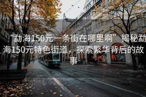 “勐海150元一條街在哪里啊”揭秘勐海150元特色街道，探索繁華背后的故事