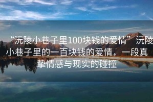 “沅陵小巷子里100塊錢(qián)的愛(ài)情”沅陵小巷子里的一百塊錢(qián)的愛(ài)情，一段真摯情感與現實(shí)的碰撞