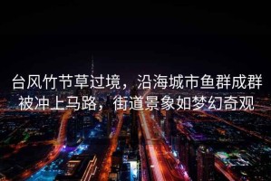 臺風(fēng)竹節草過(guò)境，沿海城市魚(yú)群成群被沖上馬路，街道景象如夢(mèng)幻奇觀(guān)