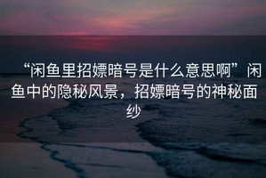 “閑魚(yú)里招嫖暗號是什么意思啊”閑魚(yú)中的隱秘風(fēng)景，招嫖暗號的神秘面紗