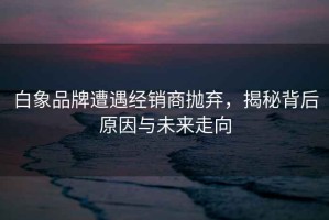 白象品牌遭遇經(jīng)銷(xiāo)商拋棄，揭秘背后原因與未來(lái)走向