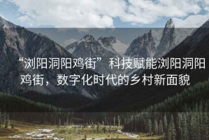 “瀏陽(yáng)洞陽(yáng)雞街”科技賦能瀏陽(yáng)洞陽(yáng)雞街，數字化時(shí)代的鄉村新面貌
