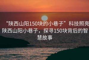 “陜西山陽(yáng)150塊的小巷子”科技照亮陜西山陽(yáng)小巷子，探尋150塊背后的智慧故事