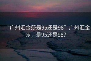 “廣州匯金莎是95還是98”廣州匯金莎，是95還是98？