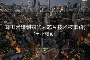 尊湃涉嫌剽竊華為芯片技術(shù)被重罰，行業(yè)震動(dòng)！