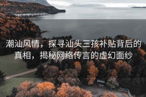 潮汕風(fēng)情，探尋汕頭三孩補貼背后的真相，揭秘網(wǎng)絡(luò )傳言的虛幻面紗