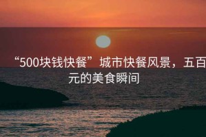 “500塊錢(qián)快餐”城市快餐風(fēng)景，五百元的美食瞬間