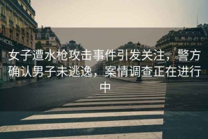 女子遭水槍攻擊事件引發(fā)關(guān)注，警方確認男子未逃逸，案情調查正在進(jìn)行中