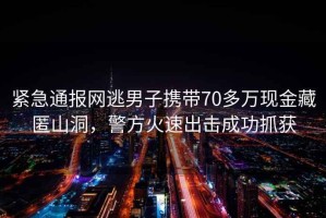 緊急通報網(wǎng)逃男子攜帶70多萬(wàn)現金藏匿山洞，警方火速出擊成功抓獲