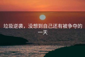 垃圾逆襲，沒(méi)想到自己還有被爭奪的一天