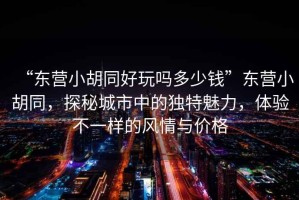 “東營(yíng)小胡同好玩嗎多少錢(qián)”東營(yíng)小胡同，探秘城市中的獨特魅力，體驗不一樣的風(fēng)情與價(jià)格
