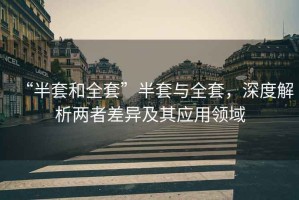 “半套和全套”半套與全套，深度解析兩者差異及其應用領(lǐng)域