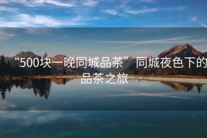 “500塊一晚同城品茶”同城夜色下的品茶之旅