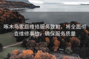 啄木鳥(niǎo)家庭維修服務(wù)致歉，將全面徹查維修事故，確保服務(wù)質(zhì)量