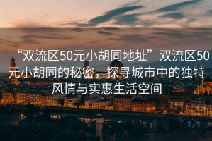“雙流區50元小胡同地址”雙流區50元小胡同的秘密，探尋城市中的獨特風(fēng)情與實(shí)惠生活空間