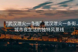 “武漢泄火一條街”武漢泄火一條街，城市夜生活的獨特風(fēng)景線(xiàn)