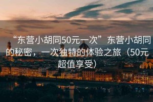 “東營(yíng)小胡同50元一次”東營(yíng)小胡同的秘密，一次獨特的體驗之旅（50元超值享受）