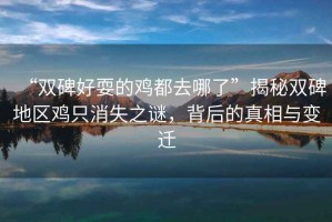 “雙碑好耍的雞都去哪了”揭秘雙碑地區雞只消失之謎，背后的真相與變遷