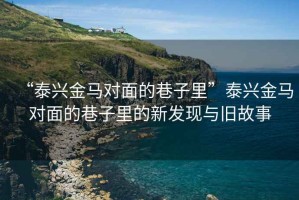“泰興金馬對面的巷子里”泰興金馬對面的巷子里的新發(fā)現與舊故事