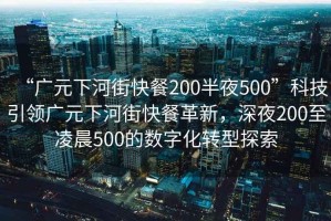 “廣元下河街快餐200半夜500”科技引領(lǐng)廣元下河街快餐革新，深夜200至凌晨500的數字化轉型探索