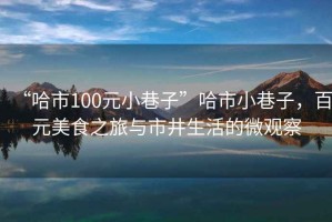 “哈市100元小巷子”哈市小巷子，百元美食之旅與市井生活的微觀(guān)察