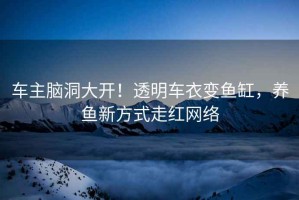 車(chē)主腦洞大開(kāi)！透明車(chē)衣變魚(yú)缸，養魚(yú)新方式走紅網(wǎng)絡(luò )