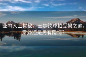 業(yè)內人士揭秘，王楚欽球拍受損之謎，意外還是另有隱情？
