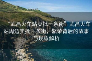 “武昌火車(chē)站賣(mài)批一條街”武昌火車(chē)站周邊賣(mài)批一條街，繁榮背后的故事與現象解析