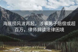 海底撈風(fēng)波再起，涉事男子賠償或超百萬(wàn)，律師解讀法律困境