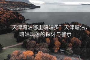 “天津塘沽哪里暗娼多”天津塘沽，暗娼現象的探討與警示