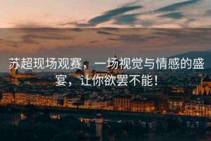 蘇超現場(chǎng)觀(guān)賽，一場(chǎng)視覺(jué)與情感的盛宴，讓你欲罷不能！