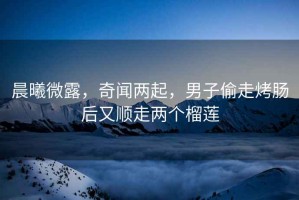 晨曦微露，奇聞兩起，男子偷走烤腸后又順走兩個(gè)榴蓮