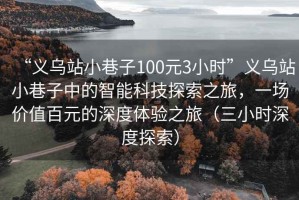“義烏站小巷子100元3小時(shí)”義烏站小巷子中的智能科技探索之旅，一場(chǎng)價(jià)值百元的深度體驗之旅（三小時(shí)深度探索）