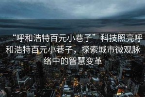 “呼和浩特百元小巷子”科技照亮呼和浩特百元小巷子，探索城市微觀(guān)脈絡(luò )中的智慧變革