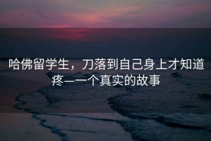 哈佛留學(xué)生，刀落到自己身上才知道疼—一個(gè)真實(shí)的故事
